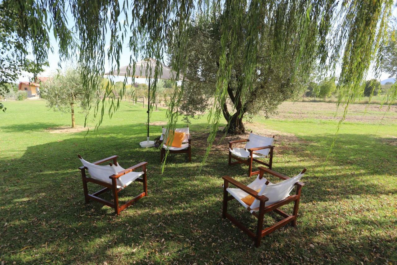 苏特里 Agriturismo Campo Del Palio酒店 外观 照片